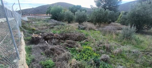 Terreno en carretera de Berja 04750, km 7