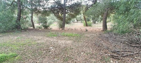 Terreno en carretera de Berja 04750, km 7