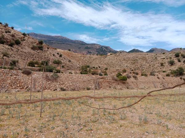 Terreno en calle de Cantarranas, 49