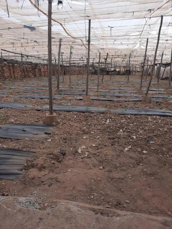 Terreno en carretera A-358 s/n