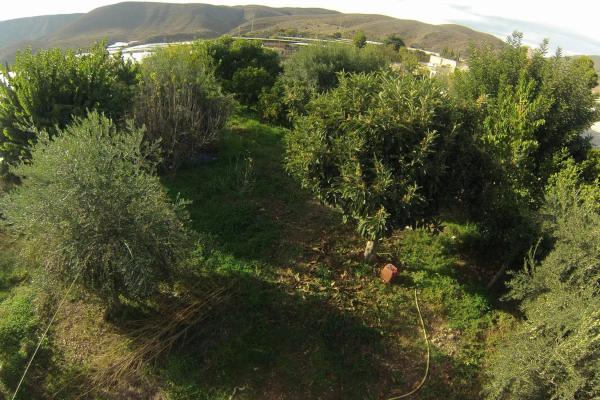 Terreno en calle Rincón de Almargen, 3