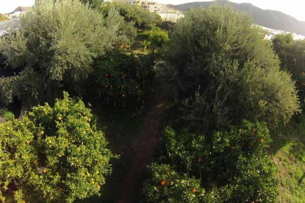 Terreno en calle Rincón de Almargen, 3