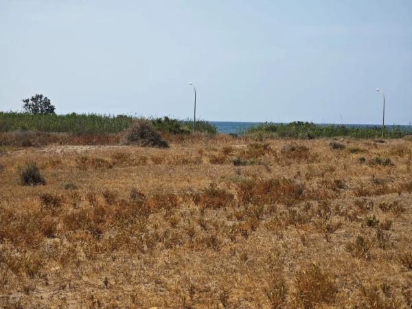 Terreno en San miguel, 3