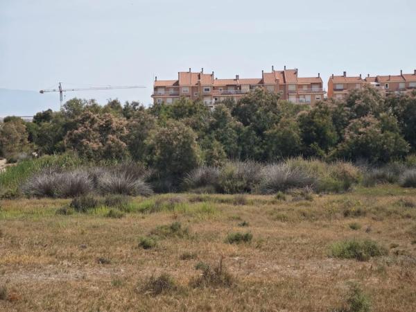 Terreno en San miguel, 3
