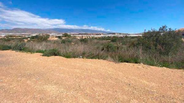 Terreno en carretera de Guardias Viejas, 49