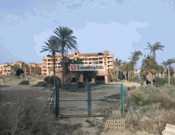 Terreno en avenida Almerimar, 126