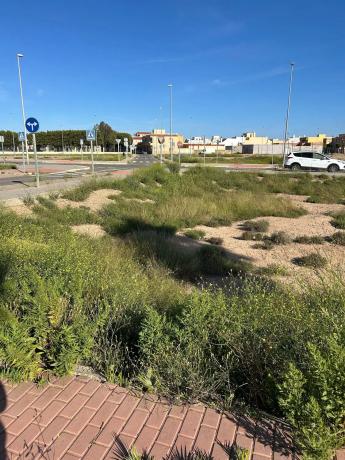 Terreno en calle Diego de Almagro s/n