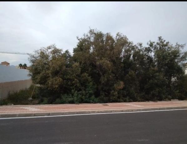 Terreno en calle Avoceta, 16