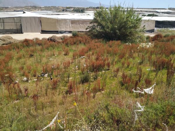 Terreno en calle las Cuevecillas