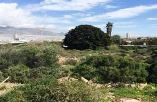 Terreno en calle Rigoberta Menchu