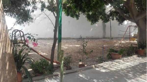 Terreno en calle Padre Rubio