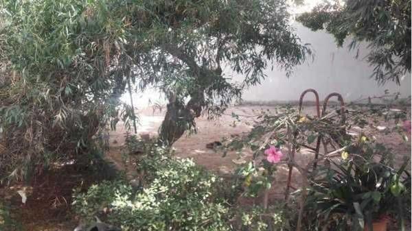 Terreno en calle Padre Rubio