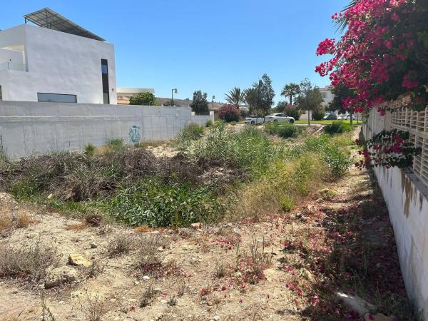 Terreno en calle Garza s/n Sn