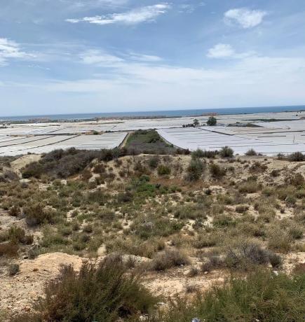 Terreno en camino del Alcor, 34