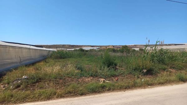 Terreno en Paraje la Molina, 26