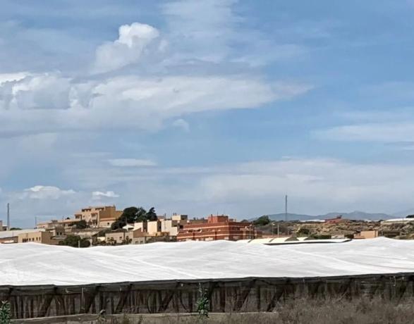 Terreno en camino del Alcor, 34