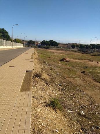 Terreno en calle Bach, 10