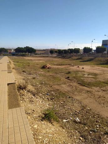 Terreno en calle Bach, 10