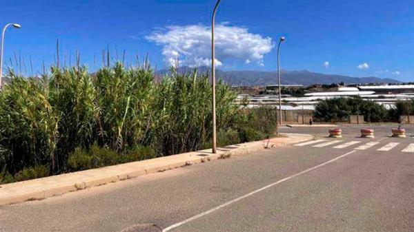 Terreno en calle la Abierta