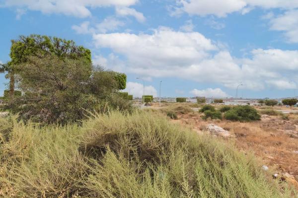 Terreno en calle Loma de la Mezquita