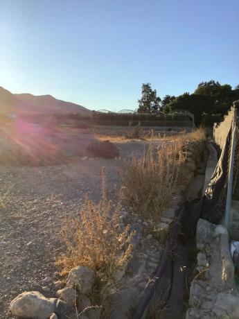 Terreno en Paraje Pampanico, 8