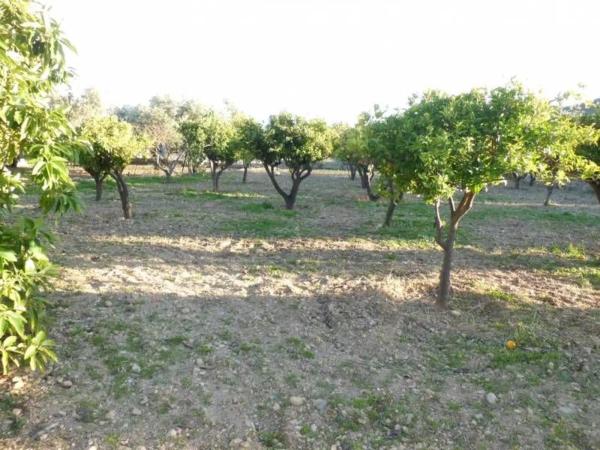 Terreno en Barrio Ejido centro