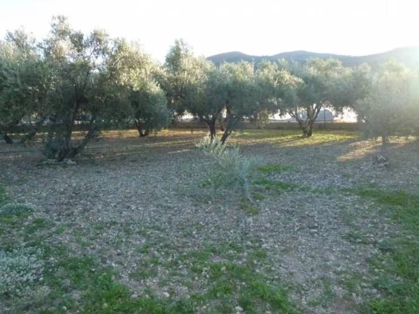 Terreno en Barrio Ejido centro