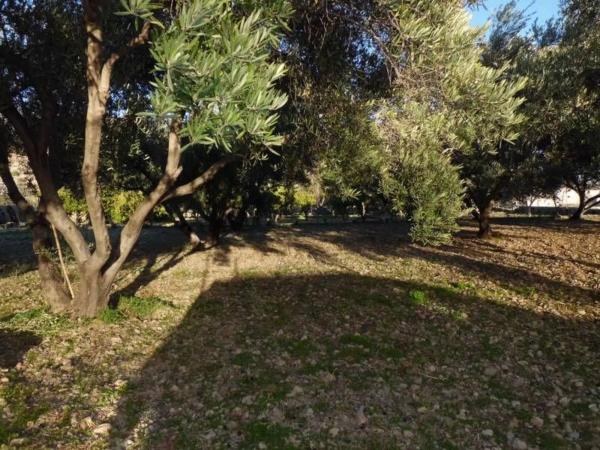 Terreno en Barrio Ejido centro