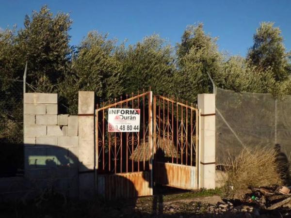 Terreno en Barrio Ejido centro