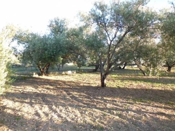 Terreno en Barrio Ejido centro