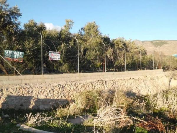 Terreno en Barrio Ejido centro