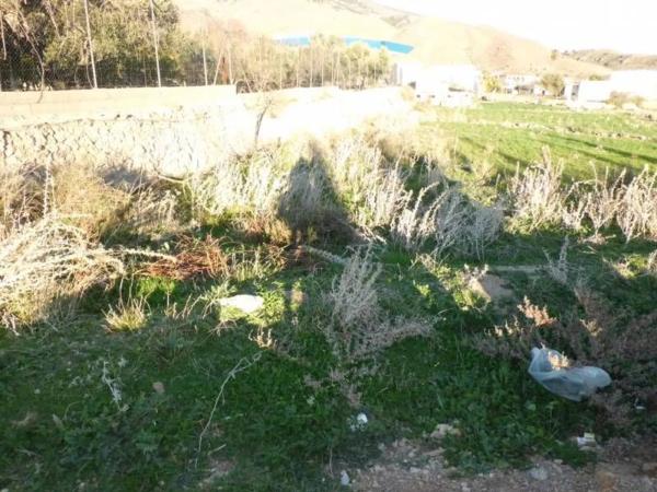 Terreno en Barrio Ejido centro