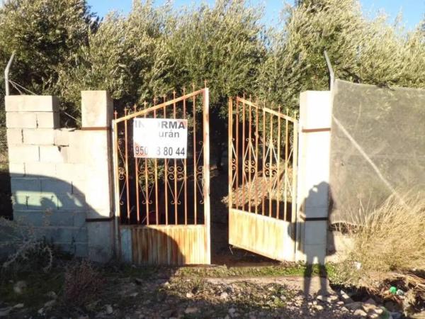 Terreno en Barrio Ejido centro