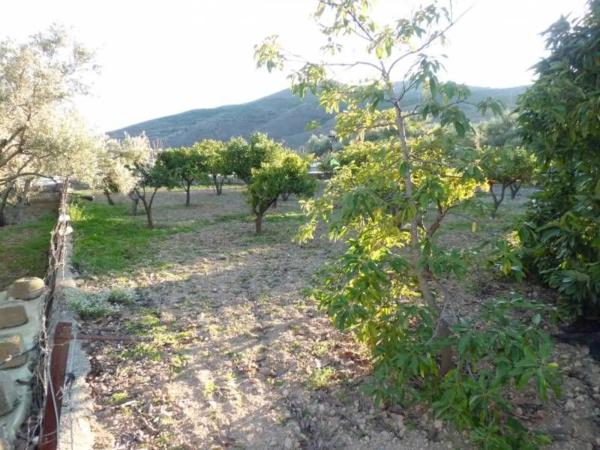 Terreno en Barrio Ejido centro