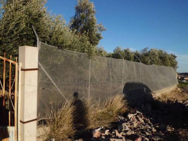 Terreno en Barrio Ejido centro