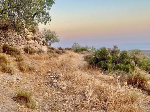 Terreno en Fontichuela s/n