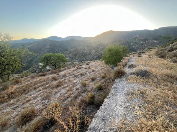 Terreno en Fontichuela s/n