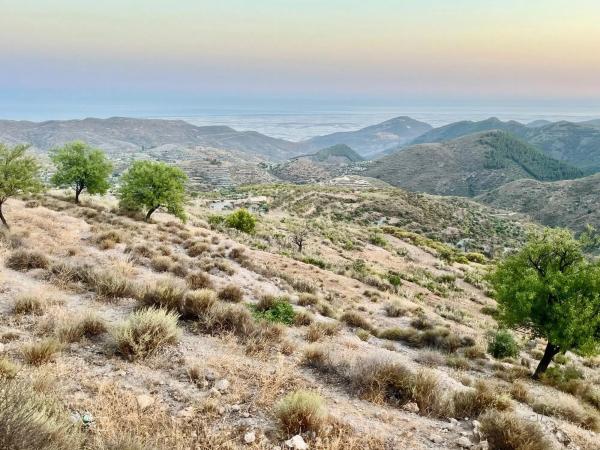 Terreno en Fontichuela s/n