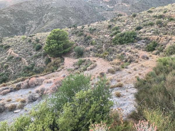 Terreno en Fontichuela s/n