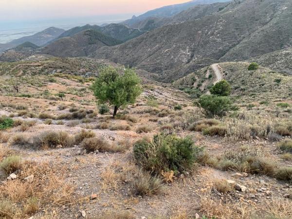 Terreno en Fontichuela s/n