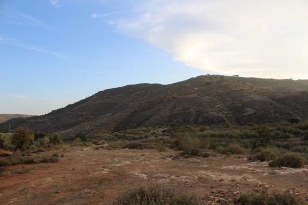 Terreno en camino de Hitar