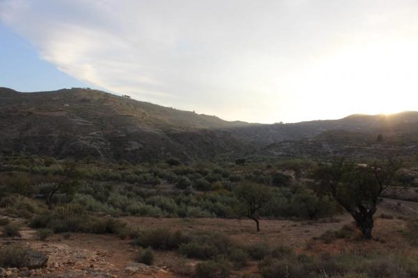 Terreno en camino de Hitar