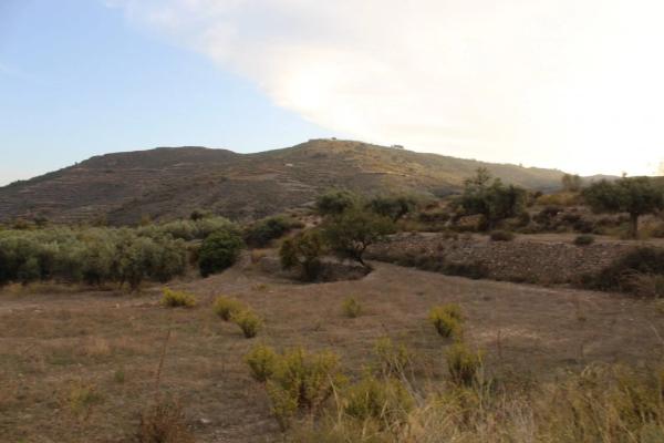 Terreno en camino de Hitar