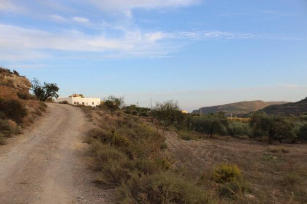 Terreno en camino de Hitar