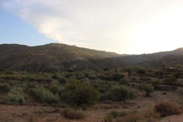Terreno en camino de Hitar