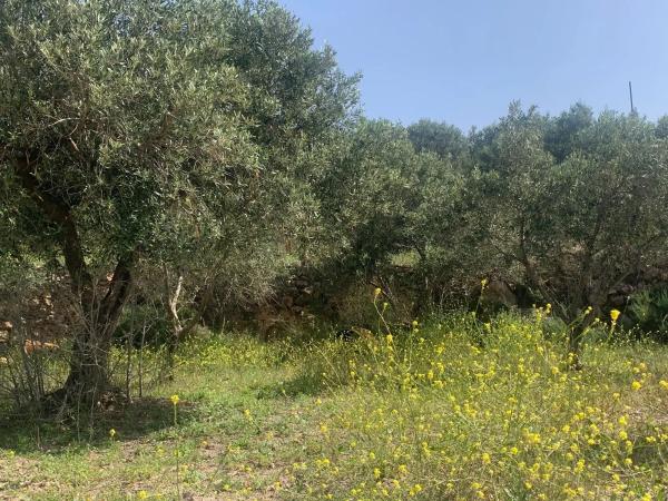 Terreno en camino cementerio s/n