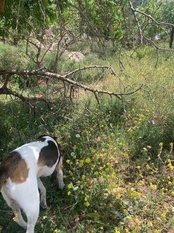Terreno en camino cementerio s/n