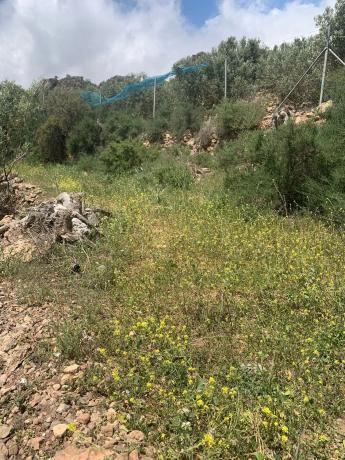 Terreno en camino cementerio s/n