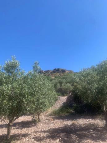 Terreno en camino cementerio s/n