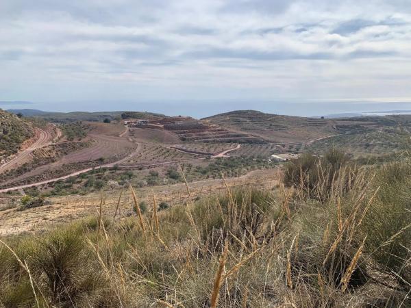 Terreno en Paraje La Caseria s/n